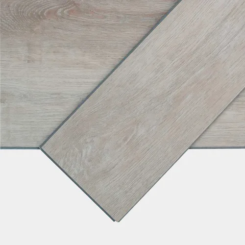 Spc009vi 051 ca dsc00140 gris.webp