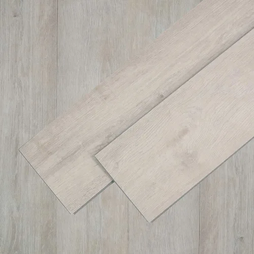 Spc009vi 051 ca dsc00144 gris.webp