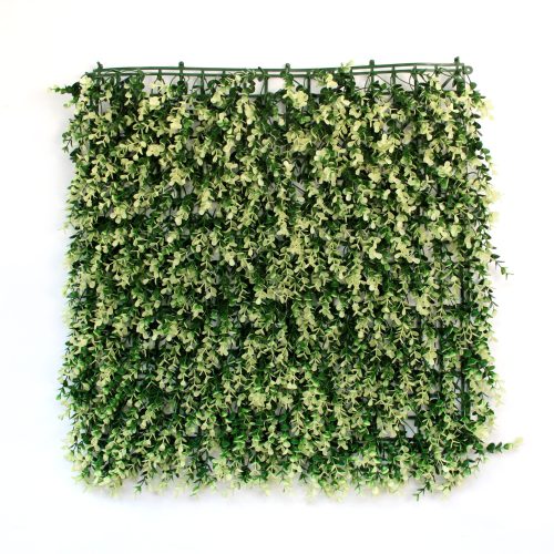 22 06 atlanta 50x50 frente scaled 1.jpg