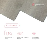 FT_GD-Colocacion-ADEBAY