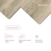 FT_GD-Colocacion-OLMO