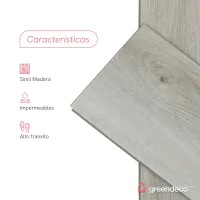 FT_GD-caracteristicas-ALARCE