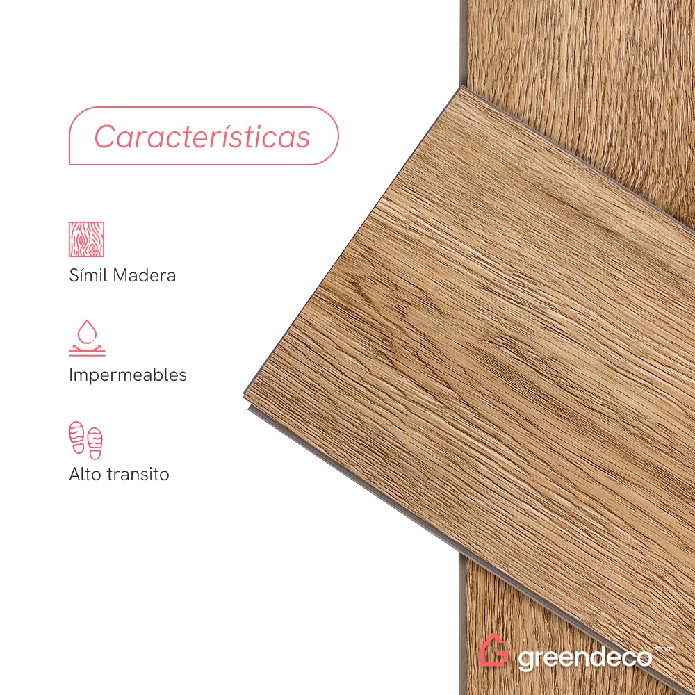 FT_GD-caracteristicas-ARCE