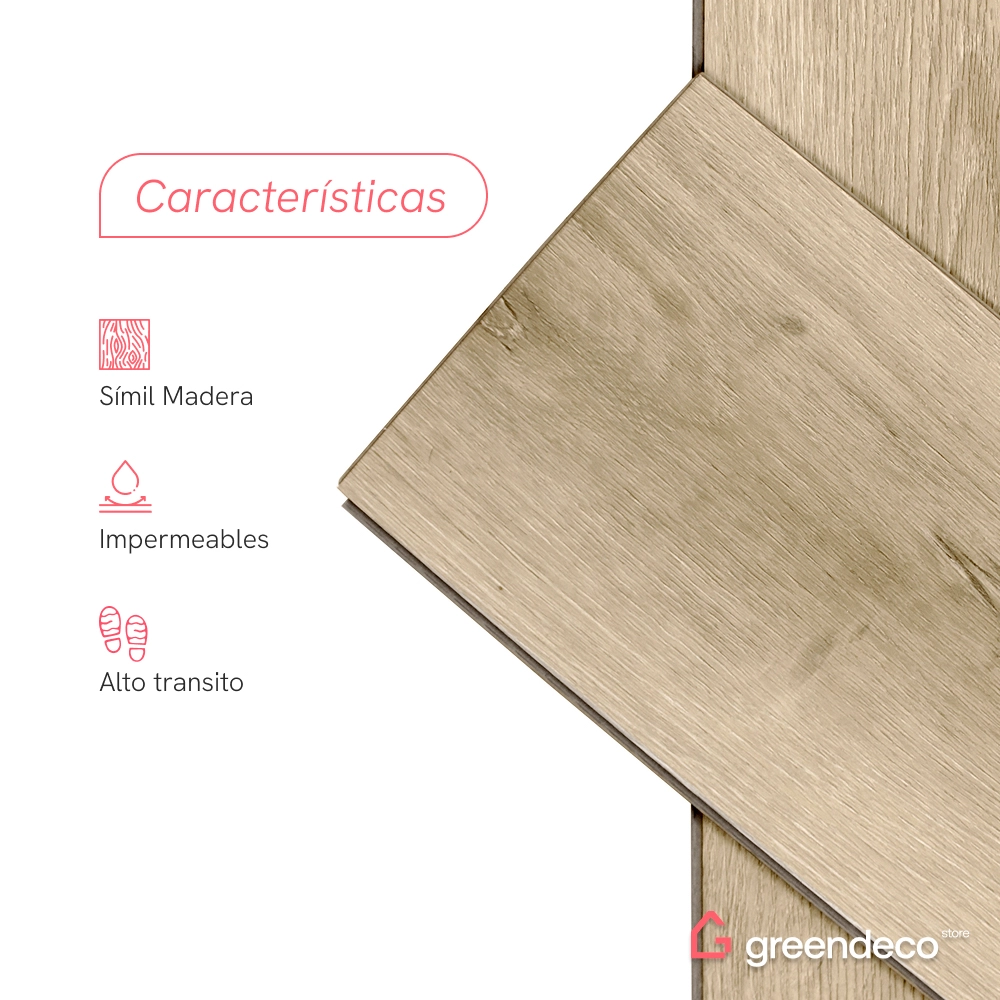 FT_GD-caracteristicas-OLMO