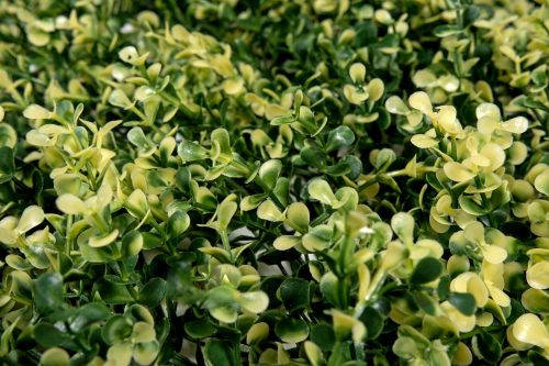 Atlanta 1059 scaled 1.jpg