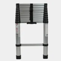 Esc008nd 001 un dsc09609 gris