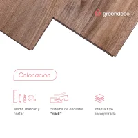 FT_GD-Colocacion-CEDRO